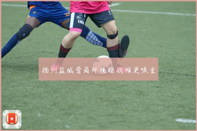 扬州盐城营商环境暗战谁更吸金