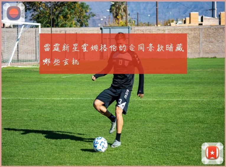 雷霆新星霍姆格伦的合同条款暗藏哪些玄机