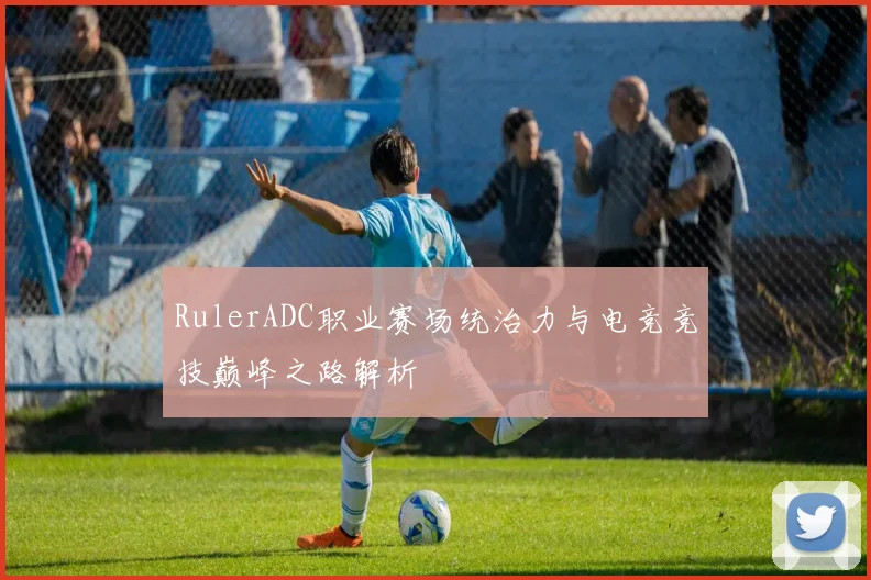 RulerADC职业赛场统治力与电竞竞技巅峰之路解析