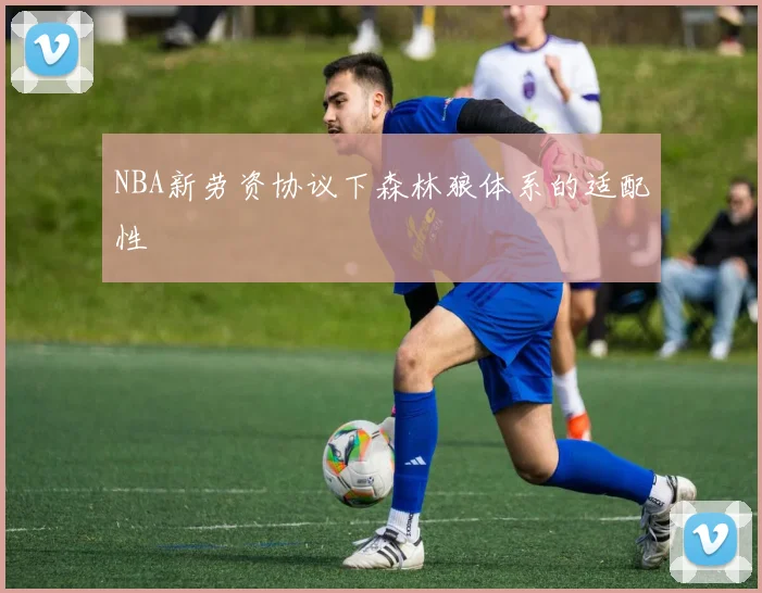 NBA新劳资协议下森林狼体系的适配性
