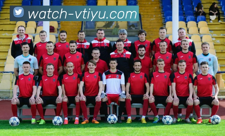 vtiyu平台生态图